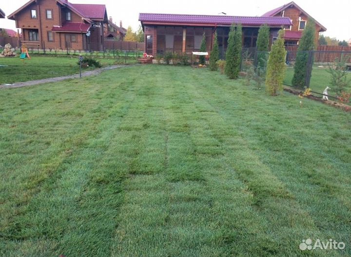 Рулонный газон от производителя. Укладка газона