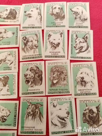 Породы собак. Спичечные этикетки