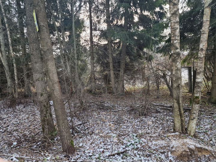 Участок 9 сот. (СНТ, ДНП)