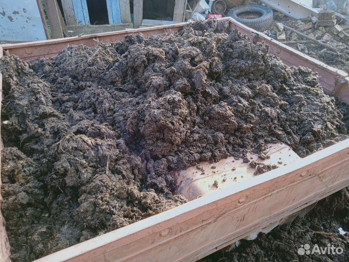 Навоз коровий, отдам бесплатно, самовывоз