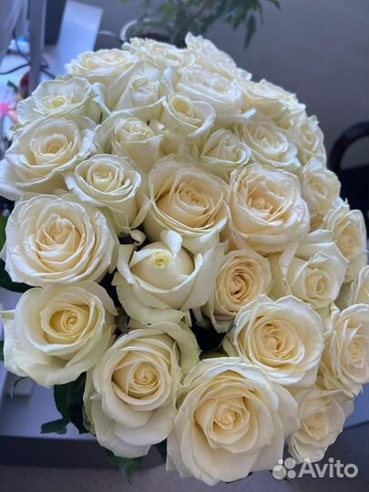 Белые розы цветы с доставкой