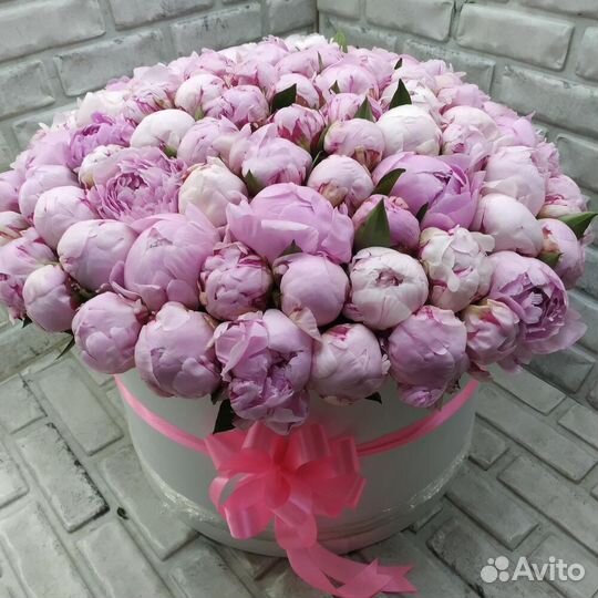 Пионы / пионы в коробке / пионы с доставкой