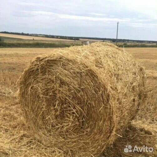 Солома в рулонах