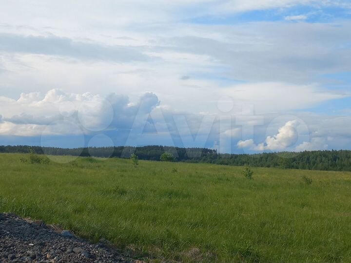 Участок 4,17 га (СНТ, ДНП)