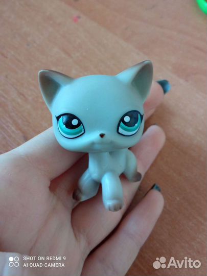 Littlest Pet Shop
