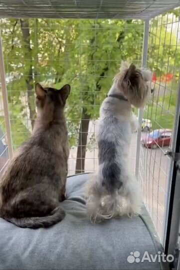 Балкончик для кошки, выгул на окно для кота