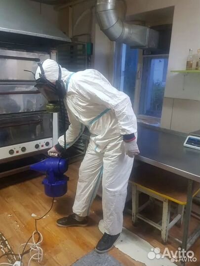 Дезинсекция и дезинфекция в Барнауле