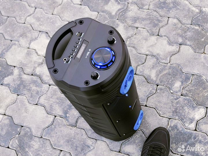 Колонка с микрофоном