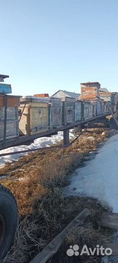 Прицеп(платформа) для перевозки пчёл