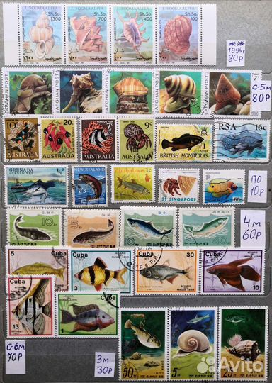 Подборка Фауна 24 Рыбы