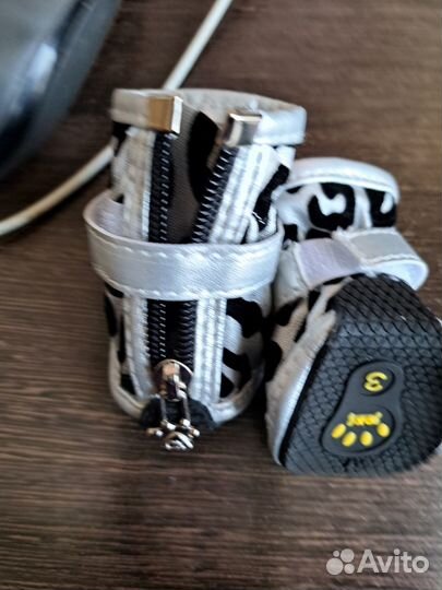 Одежда для собак мелких пород