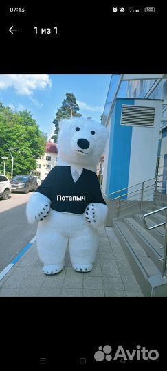 Белый мишка, бурый, панда, зая, кингконг, единорог