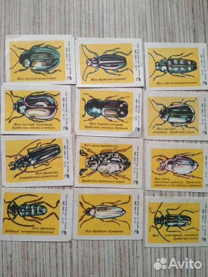 Спичечные этикетки. СССР