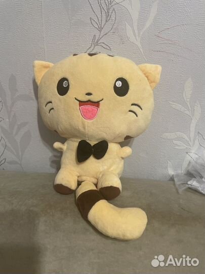 Кот