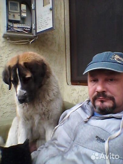 Зав.хоз,Сторож с проживанием