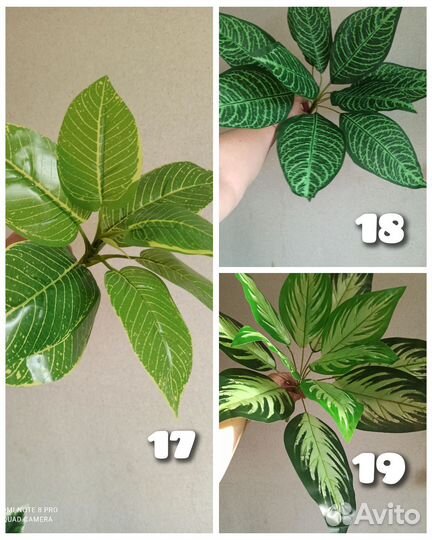 Искусственные растения