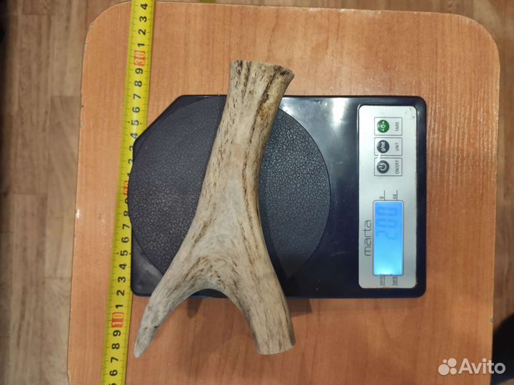 Лакомства для собак. оленьи рога