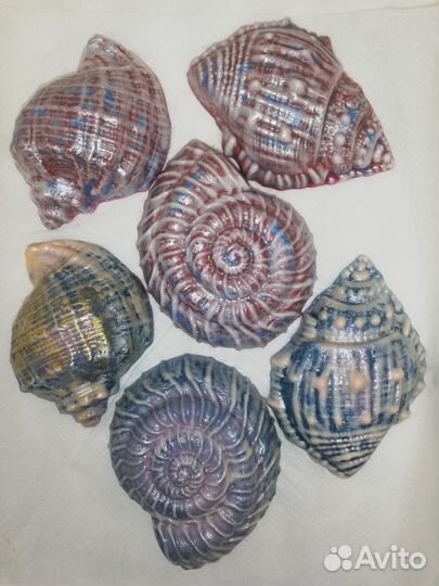 Мыло ручной работы - ракушки