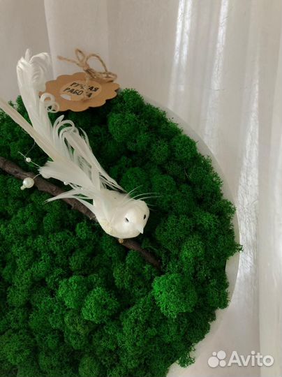 Фитокартина стабилизированный мох