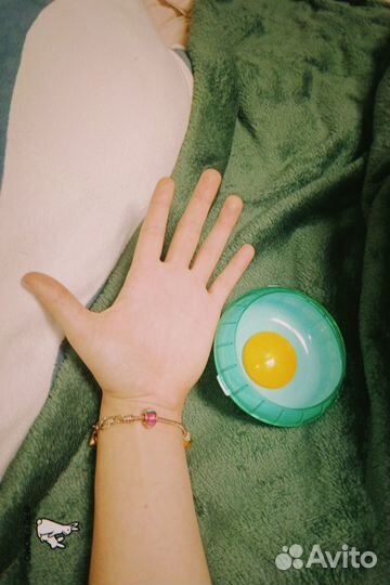 Колесо для хомяка