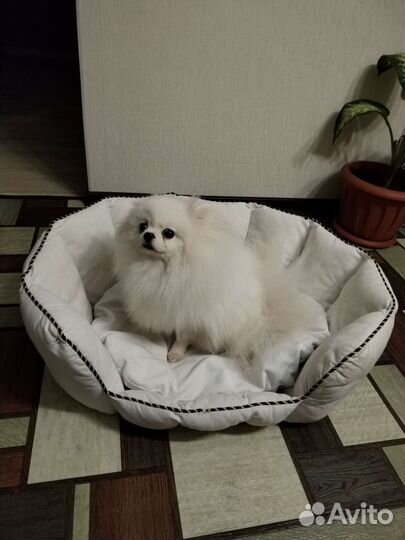 Лежанка домик для собаки