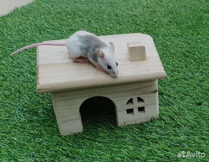 Мышь сатиновая