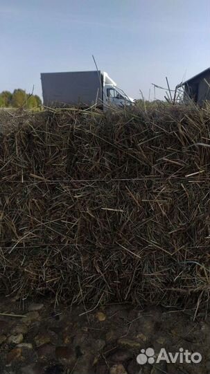 Сено в тюках