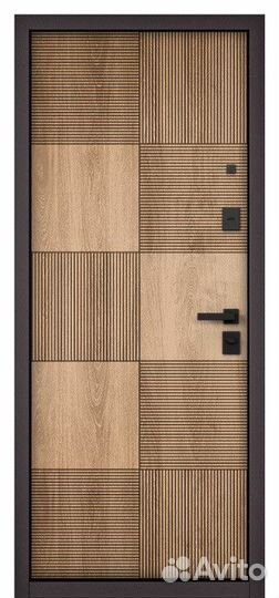 Железная дверь