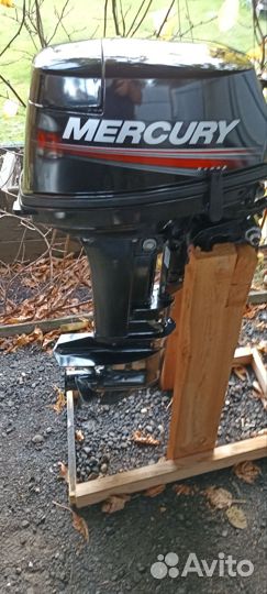 Mercury 9.9