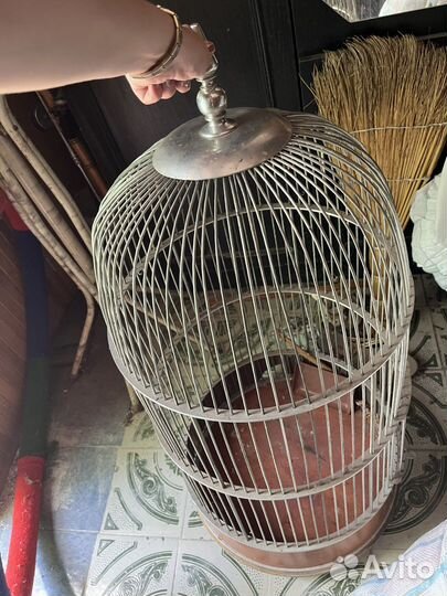 Клетка для попугая