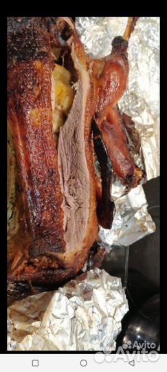 Утята (бройлерные) Star53/ST5