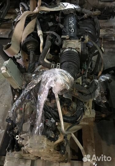 Контрактный двигатель QR20DE nissan X-Trail Т30