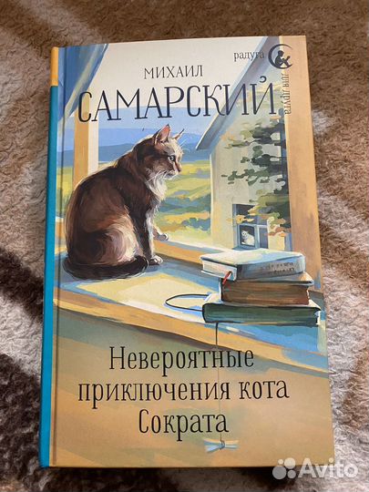 Невероятные приключения кота Сократа