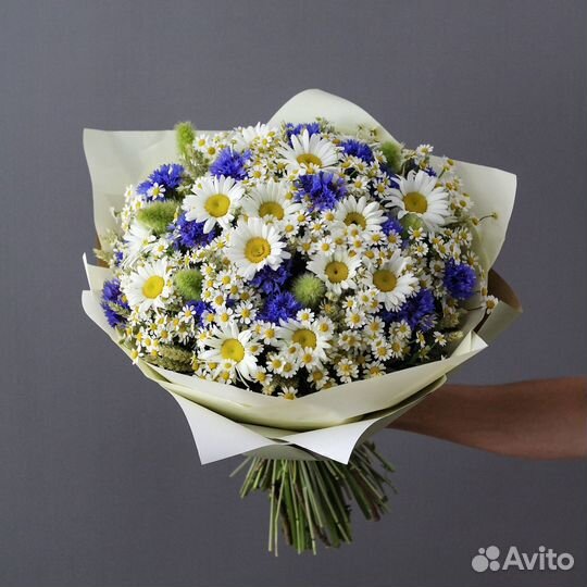 Цветы Ромашки Букеты