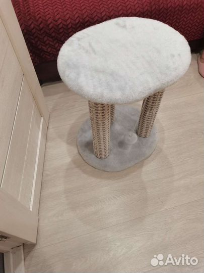 Когтеточка домик для кошки бу