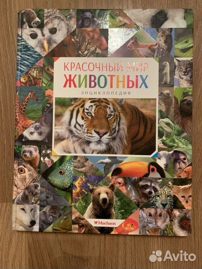 Детская энциклопедия махаон