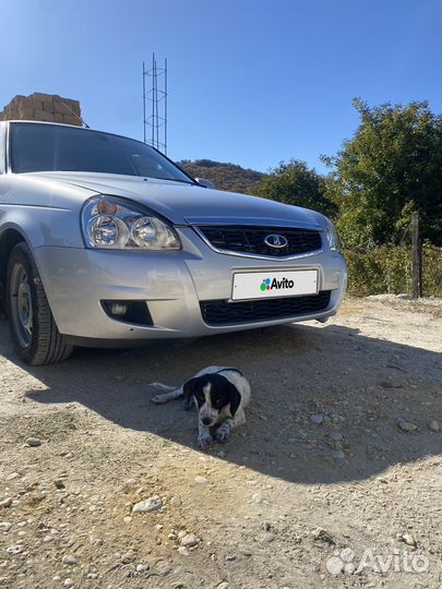 LADA Priora 1.6 МТ, 2010, 270 000 км