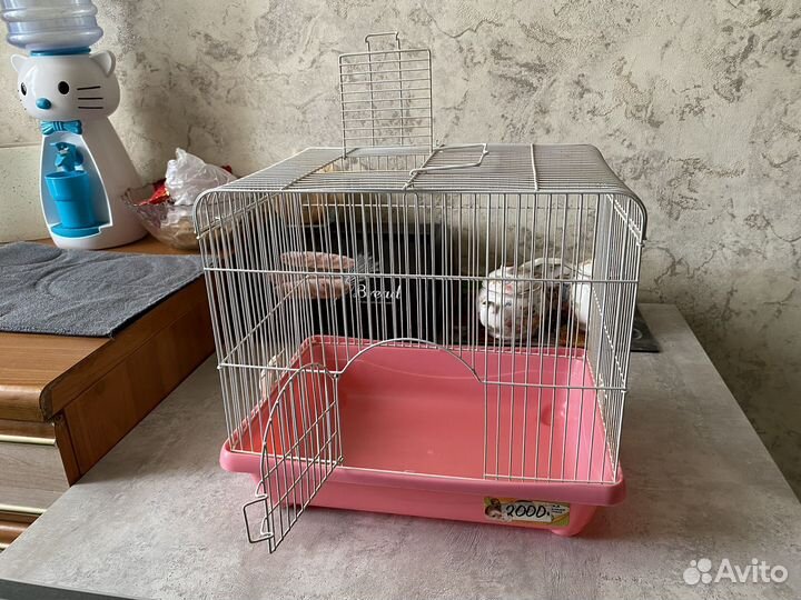 Клетка для грызунов