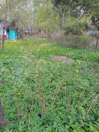 Участок 9 сот. (СНТ, ДНП)