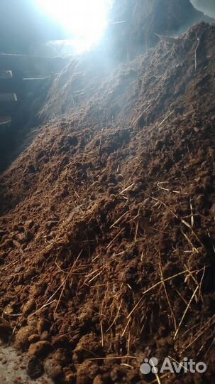 Перегной, навоз конский, навоз коровий