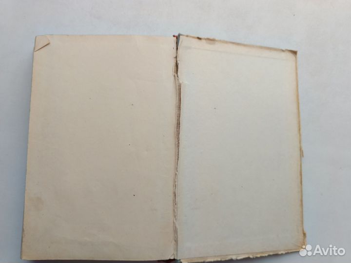 Николай Никитин 