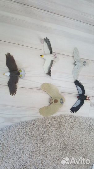 Деагостини птицы