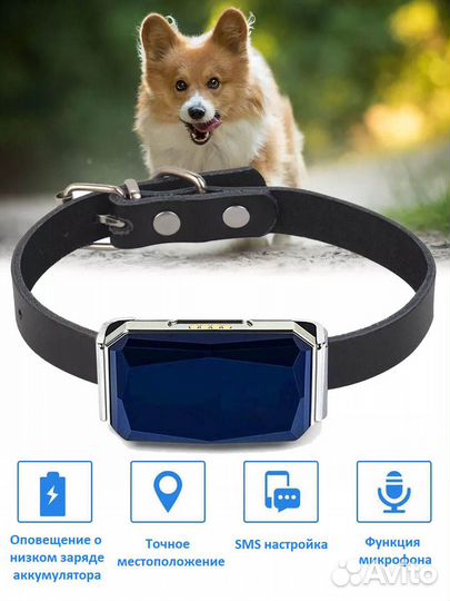 Электронный ошейник для собак