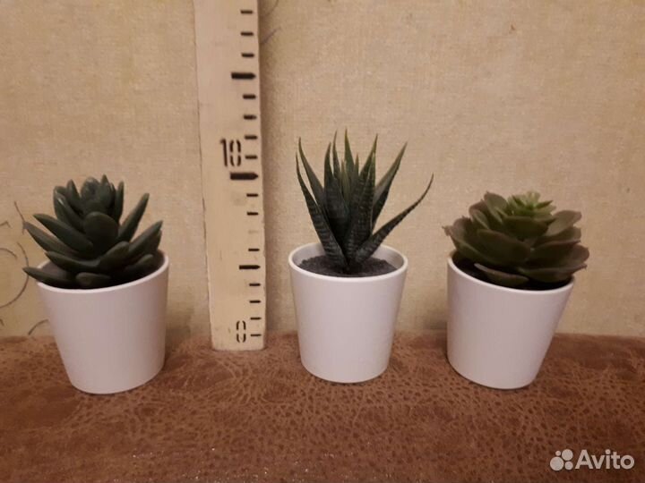 Цветы декоративные искусственные. Икея. IKEA