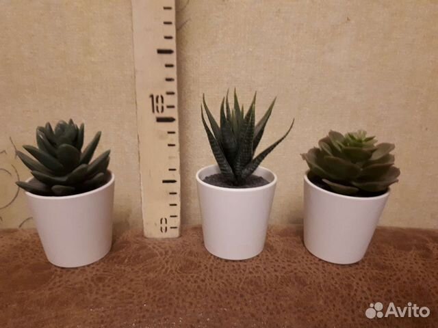 Цветы декоративные искусственные. Икея. IKEA