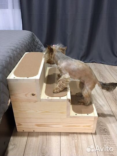 Лестница для собак