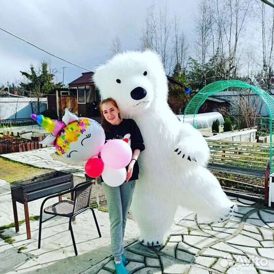 Поздравление от белого мишки медведь на праздник