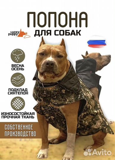 Попона для собаки