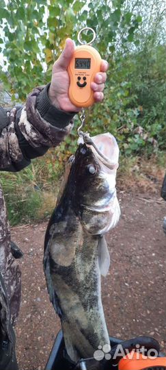 Рыбалка на Каме с гидом