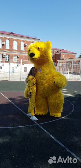 Белый мишка, Соник, Тигр, Заяц